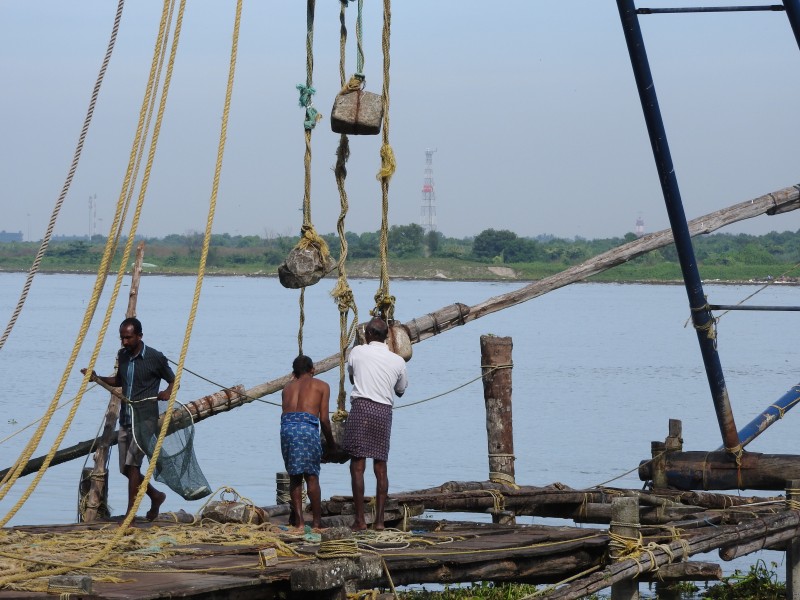 34 COCHIN Reti Cinesi